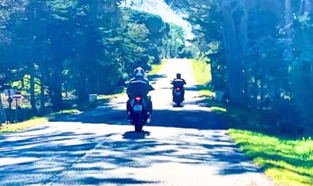 Två motorcyklister kör längs en solbelyst landsväg, omgiven av grönskande träd som bildar en naturlig tunnel. Skuggorna från träden skapar ett vackert mönster på vägen.